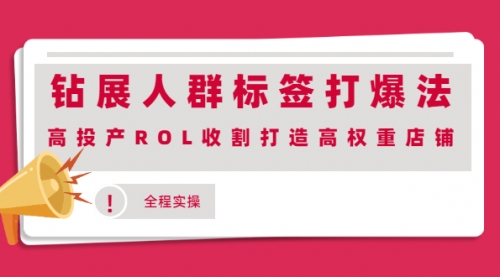 店铺权重怎么提高？钻展教程人群标签打爆法。-电商创业赚钱入门教程分享-17电商创业