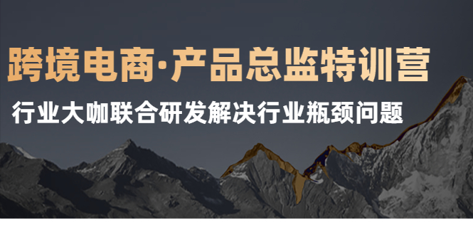 跨境电商新手一般如何选品?产品总监特训营，行业大咖联合研发解决行业瓶颈问题-电商创业赚钱入门教程分享-17电商创业
