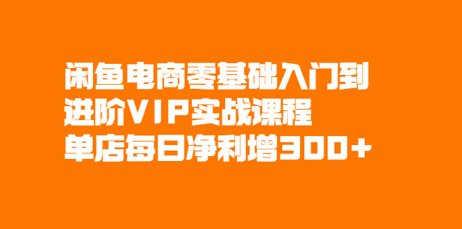 怎么在闲鱼上开店？鱼客·闲鱼电商零基础入门到进阶VIP实战课程-电商创业赚钱入门教程分享-17电商创业