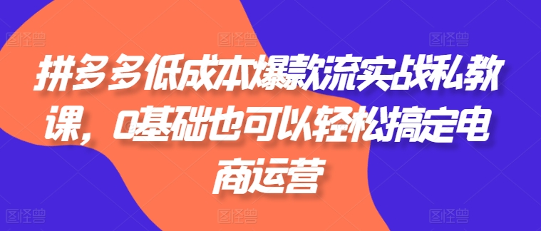 拼多多从0开始打造爆款：拼多多低成本爆款流实战私教课，0基础也可以轻松搞定电商运营-电商创业赚钱入门教程分享-17电商创业